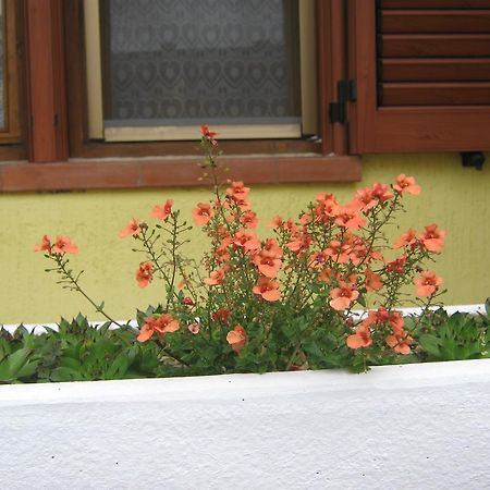 Apartment Meridiana Rovinj Exterior photo